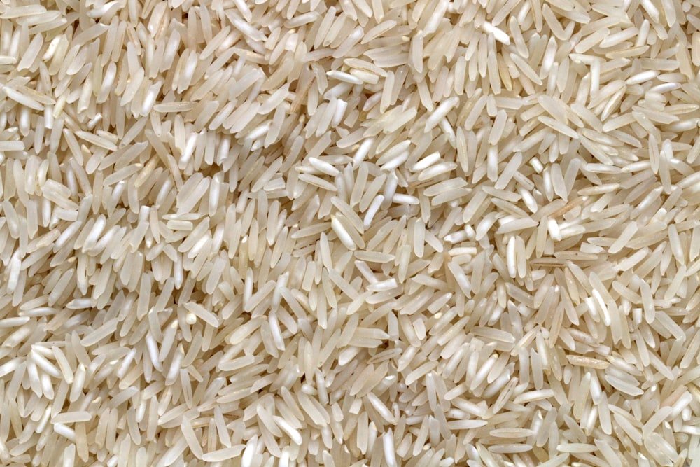 Pulses, Legumes and Oilseeds from India